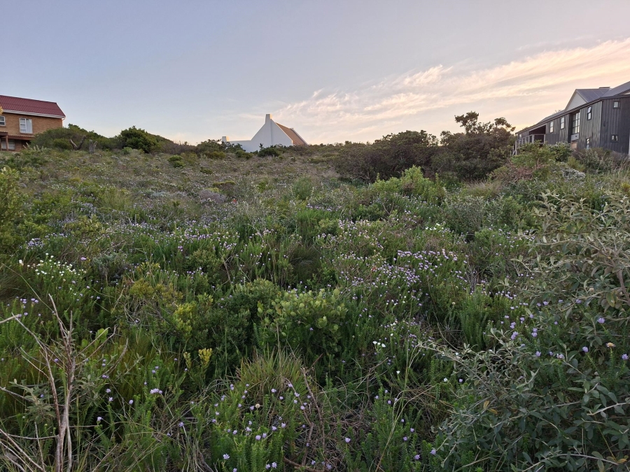 0 Bedroom Property for Sale in Pringle Bay Western Cape
